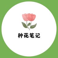 种花笔记一禾抖音号头像