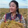 刘美娜小号（五常大米巅松农业）抖音达人头像