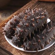 海参批发工厂抖音号头像