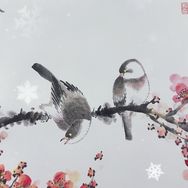 一品艺术抖音达人头像