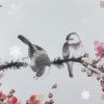 一品艺术抖音达人头像