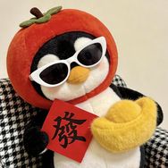 小团团_抖音达人头像