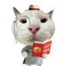 学不会📖抖音达人头像