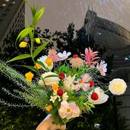 花田礼遇抖音号头像