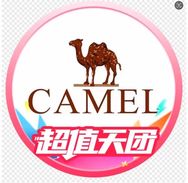 骆驼户外运动旗舰店抖音达人头像