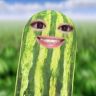 花瓣星猩子抖音达人头像
