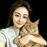 御猫苑火火缅因猫抖音达人头像