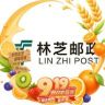 中国邮政林芝市专卖店抖音达人头像