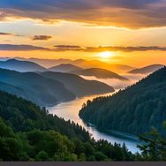 阳江农具厂供应链抖音号头像