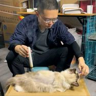 阿冷修猫修狗抖音达人头像