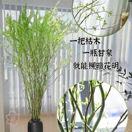 艺总花卉抖音达人头像