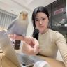 QQ叽抖音达人头像