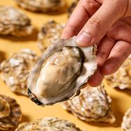 正宗乳山海蛎子抖音号头像