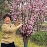 陈氏妈妈抖音达人头像