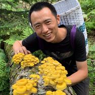 文洋食品～蚊子抖音达人头像