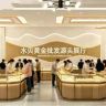 水贝黄金批发抖音达人头像