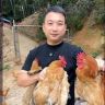 阿俊竹林土鸡抖音达人头像