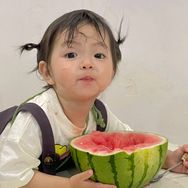 柠檬抖音达人头像