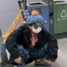 微醺大王4u抖音达人头像