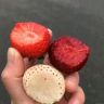 蜜企味商汇果树苗木专卖店抖音达人头像