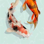 老刘美食传承抖音达人头像