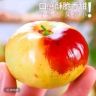 裕隆果树苗木专营店-枣树苗专场抖音达人头像
