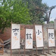 杏林子乔抖音达人头像