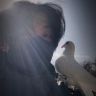 顾瞻抖音达人头像