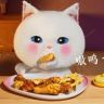 小猫饿了抖音达人头像