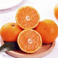 高山沃柑开园了抖音号头像