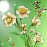 小茉莉抖音达人头像