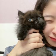 是小熊哟抖音达人头像