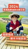 名展天下（守得丰2026年头茬蜂初乳）抖音达人头像