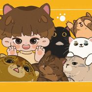 虎爸的养猫记抖音达人头像