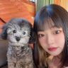 娜娜一家人抖音达人头像