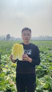 小张绿色甄选抖音达人头像