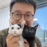 柿子菌｜小院猫咪改造抖音达人头像