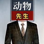 动物徐先生抖音达人头像