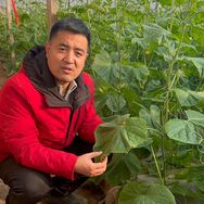 现代农业 王友福抖音达人头像