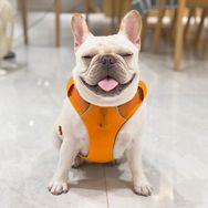 小法斗球球抖音达人头像