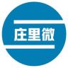 庄里微（李双锋）抖音达人头像