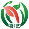 喜艺花卉抖音达人头像