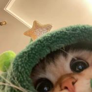 奇趣总动员抖音达人头像