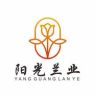 阳光蝴蝶兰抖音达人头像