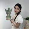花植屋花卉绿植抖音达人头像