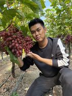 鹏诚农业抖音达人头像