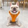 小法斗球球抖音达人头像