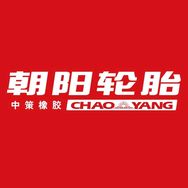 朝阳官方账号抖音达人头像