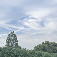 玖之琳百货商行抖音号头像