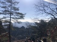 日晷甄选抖音号头像